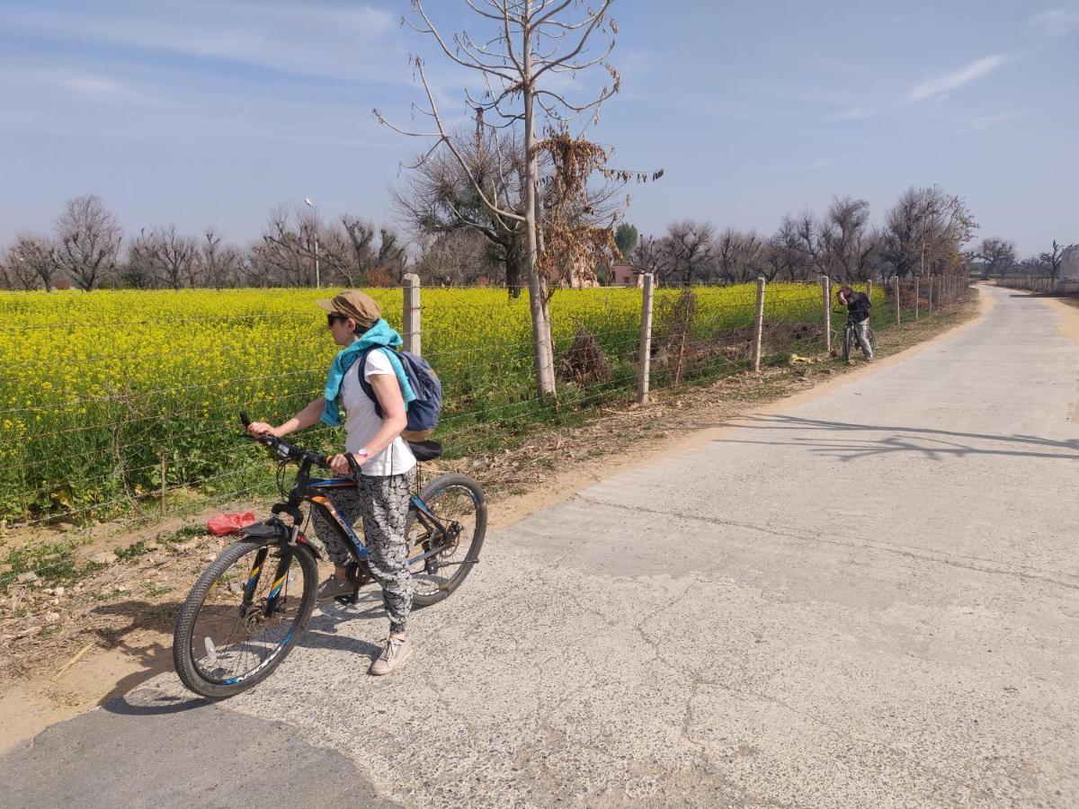 Tourist Pension Nawalgarh Zewnętrze zdjęcie